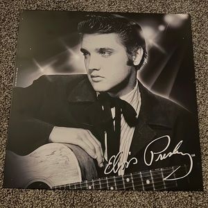 Elvis metal picture